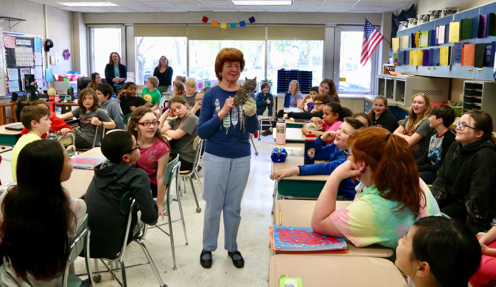 Owl presentation